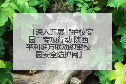 深入开展“护校安园”专项行动 陕西平利多方联动织密校园安全防护网